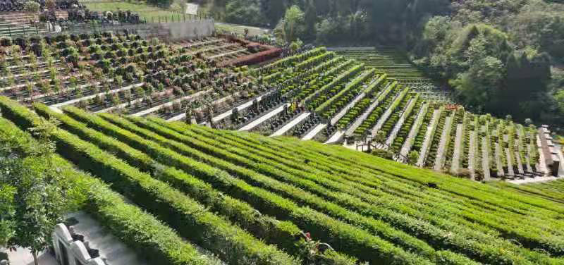 成都真武山憩园陵园-园区一角